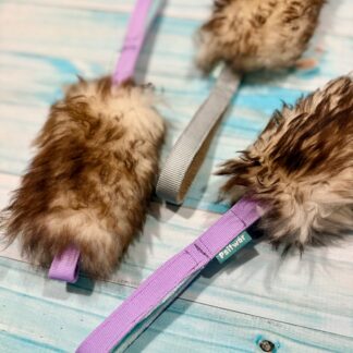 Szarpak krótki owca muflon